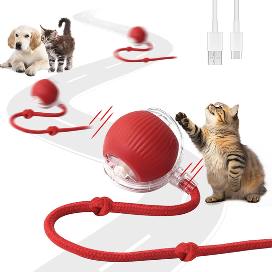 Smart Cat Toy with Tail