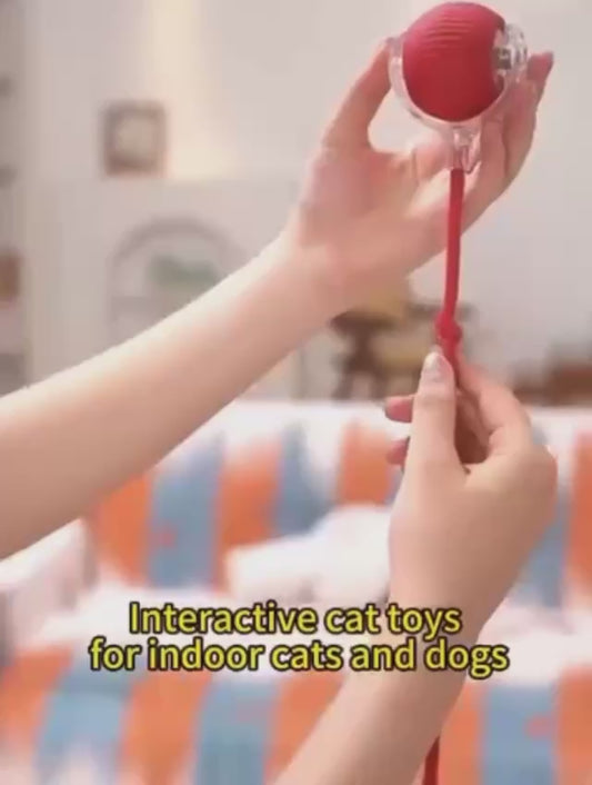 Smart Cat Toy with Tail